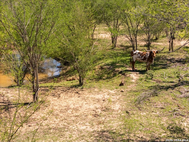 Listing photo id 13 for 1283 Loop 1604 W S