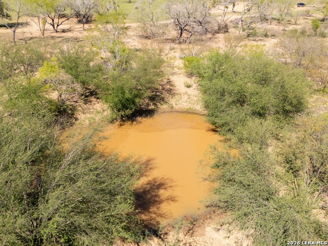 Listing photo id 14 for 1283 Loop 1604 W S