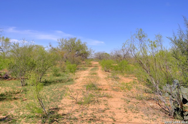 Listing photo id 16 for 1283 Loop 1604 W S