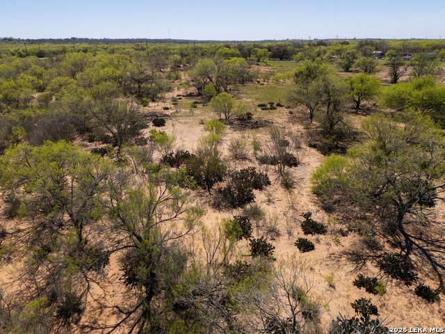 Listing photo id 29 for 1283 Loop 1604 W S