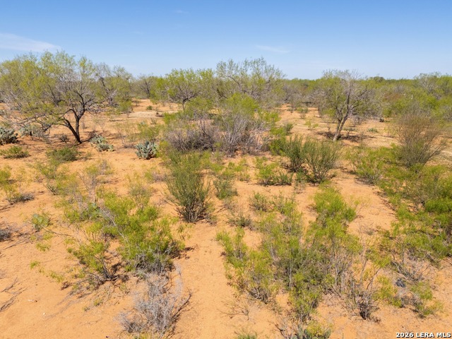 Listing photo id 31 for 1283 Loop 1604 W S