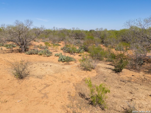 Listing photo id 33 for 1283 Loop 1604 W S