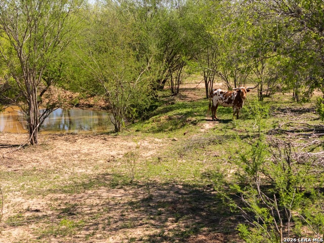 Listing photo id 4 for 1283 Loop 1604 W S