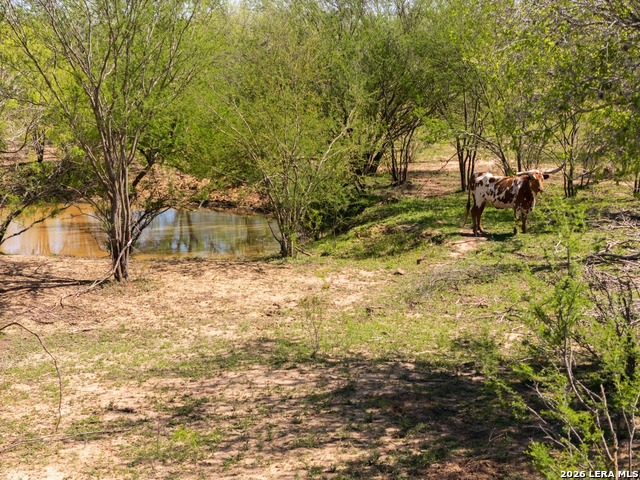 Listing photo id 5 for 1283 Loop 1604 W S