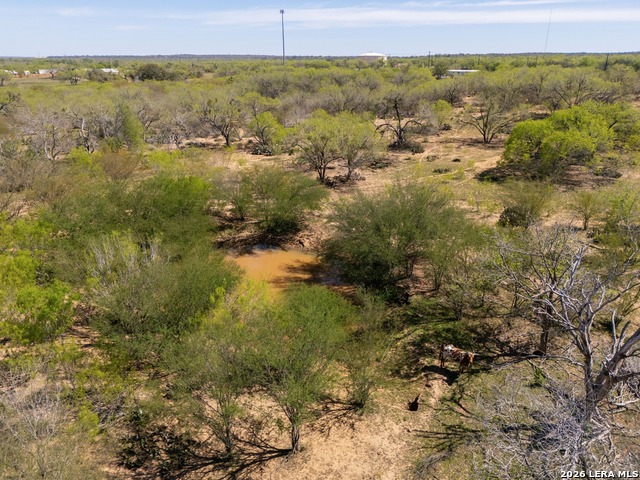 Listing photo id 6 for 1283 Loop 1604 W S