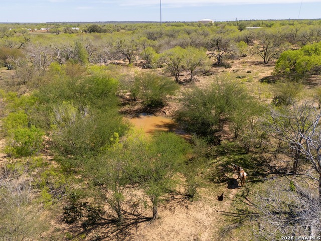 Listing photo id 7 for 1283 Loop 1604 W S