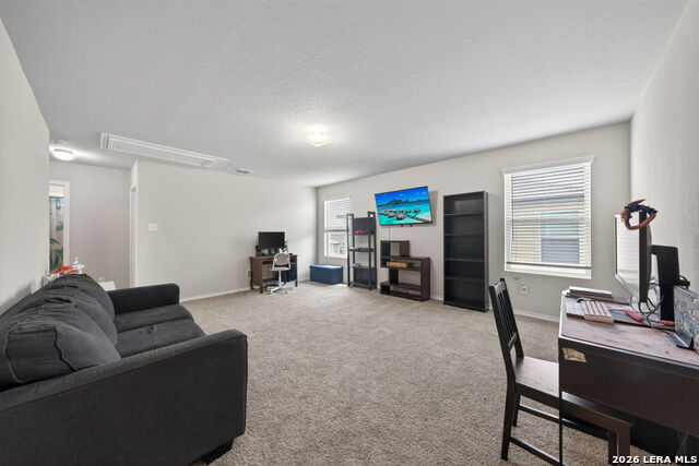 Image 23 of 29 For 5910 Frisbee Path