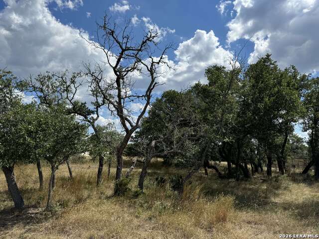 Image 9 of 11 For Lot 4 Blk C Rio Cir