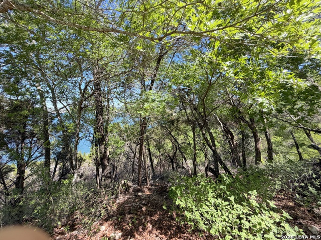 Image 11 of 22 For 1345 Larson  