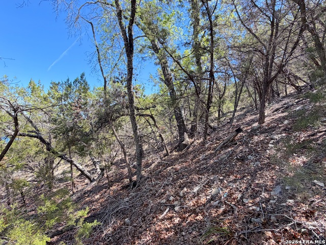 Image 13 of 22 For 1345 Larson  