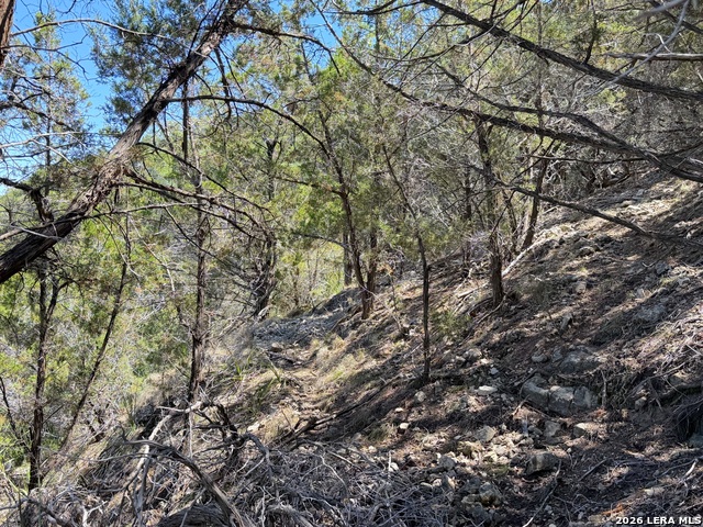 Image 18 of 22 For 1345 Larson  