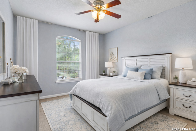 Image 21 of 46 For 23119 Treemont Park