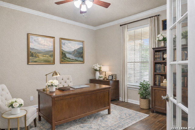 Image 3 of 46 For 23119 Treemont Park