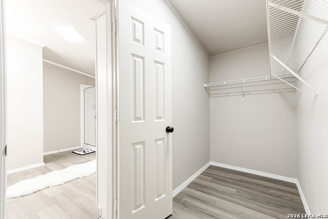 Image 14 of 43 For 1235 Q'appuella