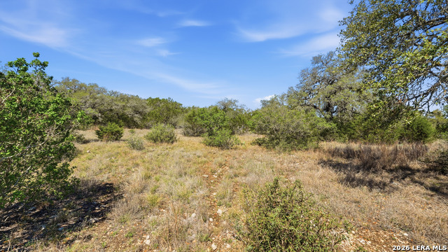 Image 11 of 22 For 2124 Francisco Pass