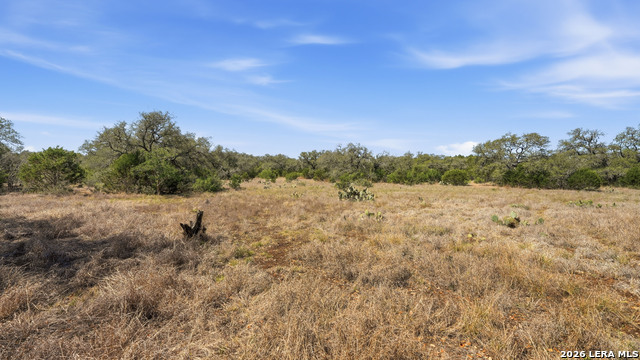 Image 16 of 22 For 2124 Francisco Pass