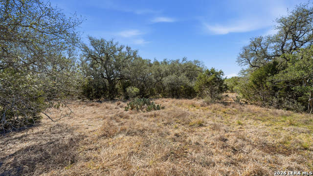 Image 6 of 22 For 2124 Francisco Pass