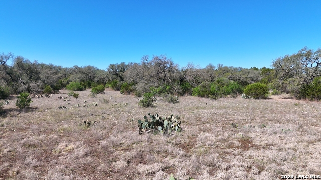 Image 7 of 22 For 2124 Francisco Pass