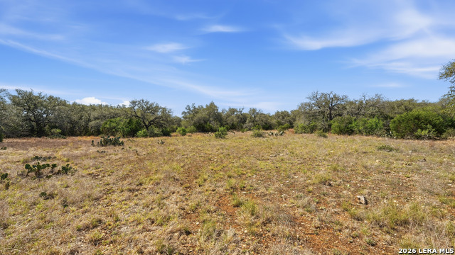 Image 8 of 22 For 2124 Francisco Pass