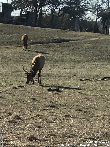 Image 5 of 6 For Lot 54 Elk Mountain Ranch
