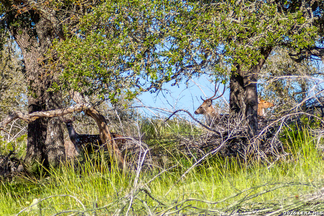 Details for Tbd Hwy 39  , Hunt, TX 78024
