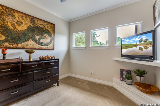 Image 12 of 31 For 945 Great Tree