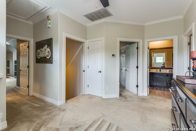 Image 14 of 31 For 945 Great Tree