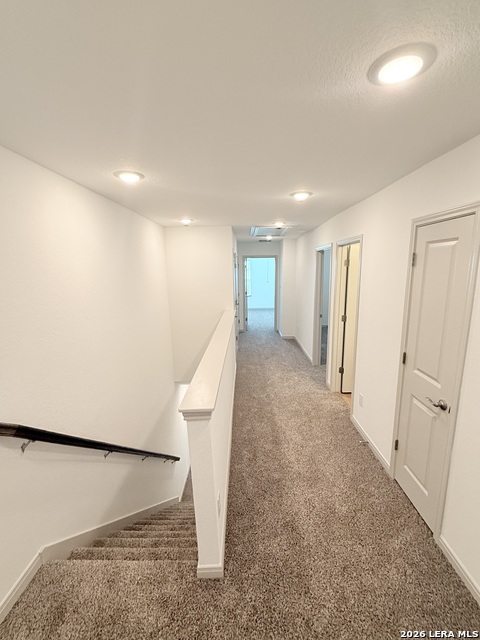 Image 8 of 17 For 10219 Tulipwood Run Unit 101