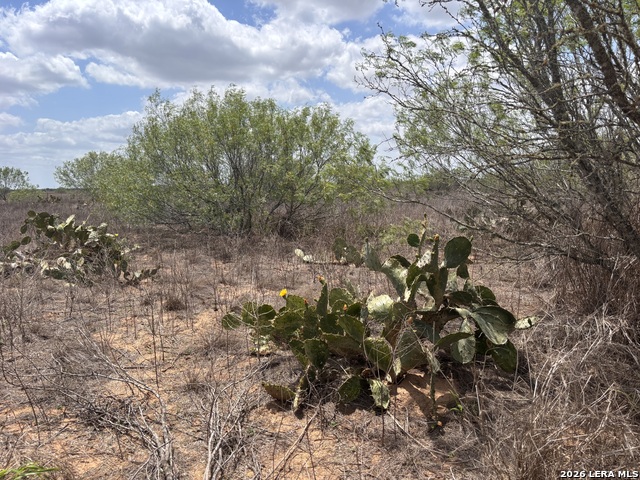 Image 14 of 38 For 0 County Road 239