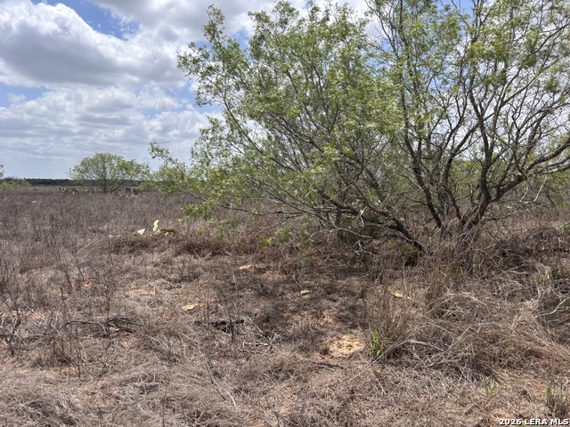 Image 15 of 38 For 0 County Road 239