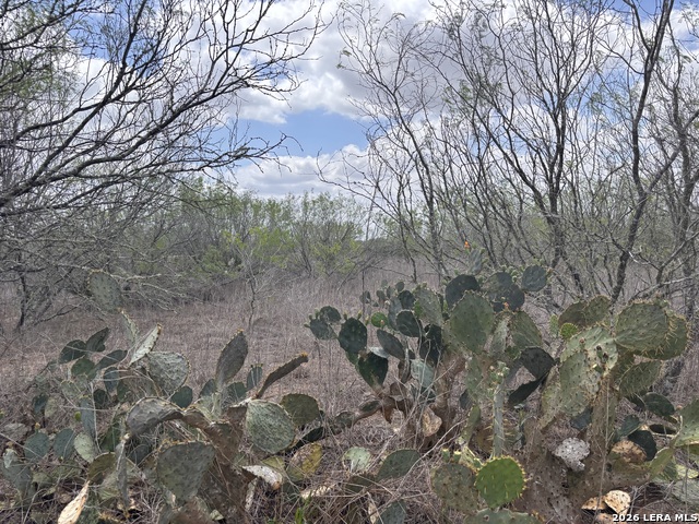 Image 19 of 38 For 0 County Road 239