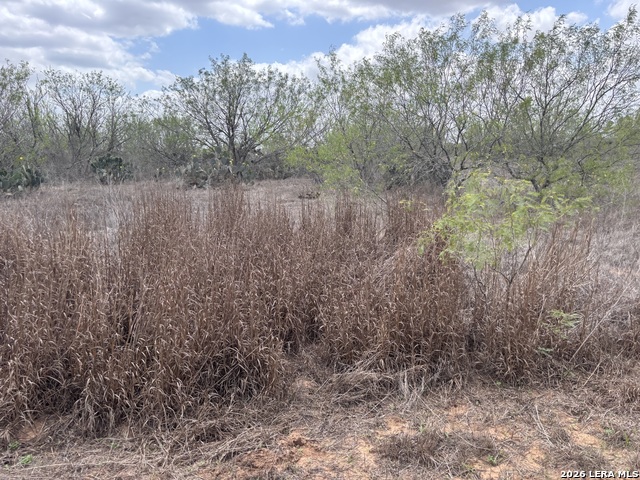 Image 23 of 38 For 0 County Road 239