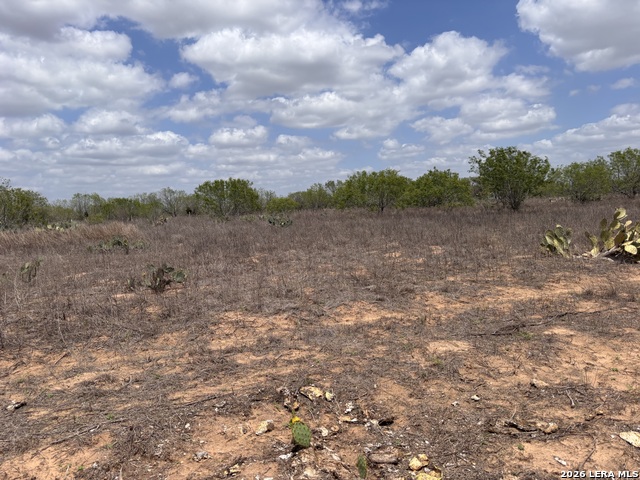 Image 25 of 38 For 0 County Road 239