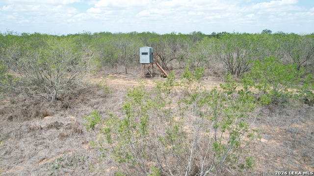 Image 35 of 38 For 0 County Road 239