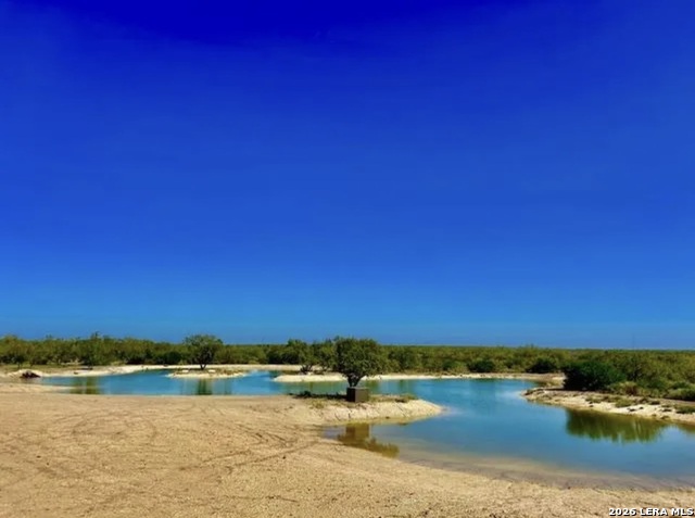 Details for Ih 35 N , Pearsall, TX 78061