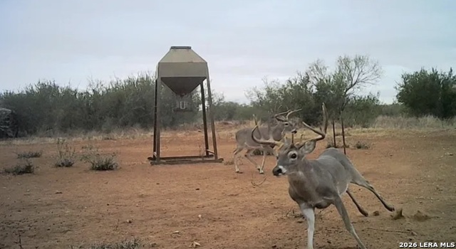 Image 26 of 27 For Ih 35 N 