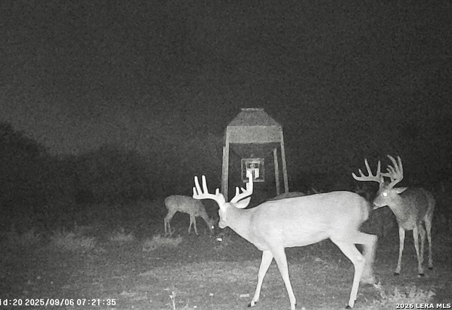 Image 27 of 27 For Ih 35 N 