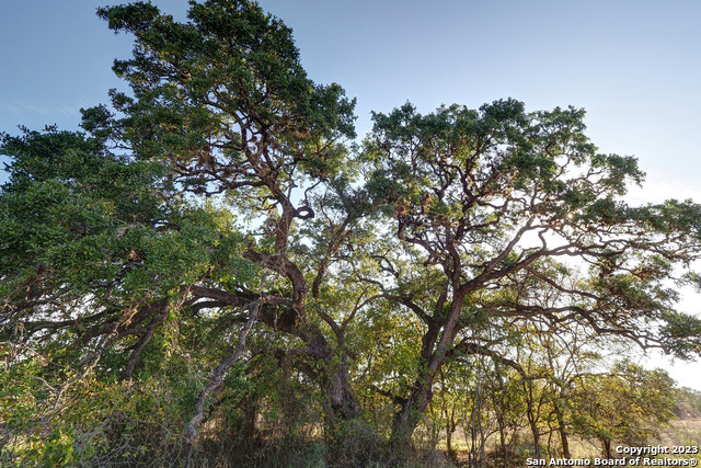 Image 11 of 17 For 625 Borchers Boulevard