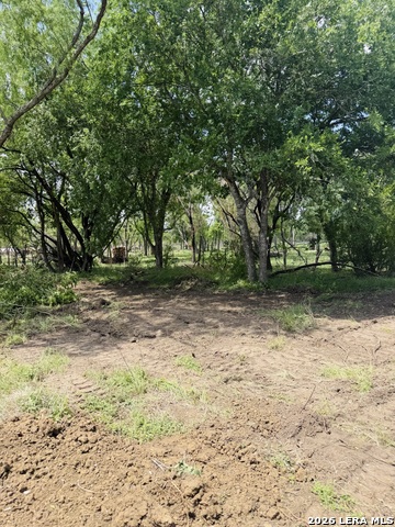 Image 3 of 6 For 0 Trumbo  