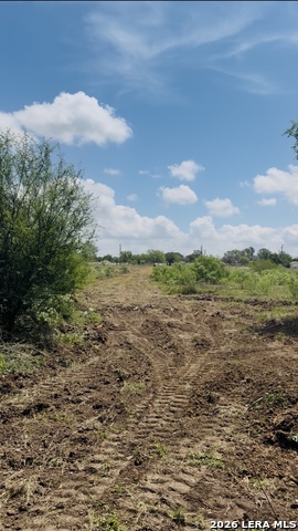 Image 4 of 6 For 0 Trumbo  