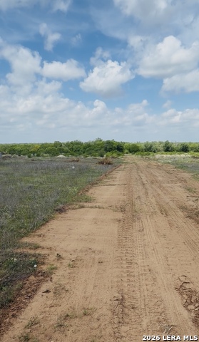 Image 6 of 6 For 0 Trumbo  