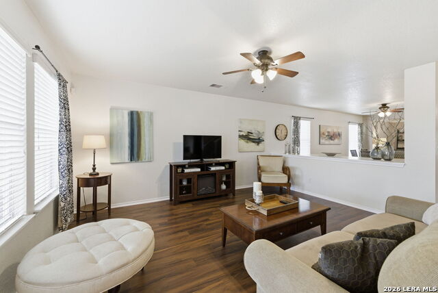 Image 10 of 34 For 2326 Boxer Palm