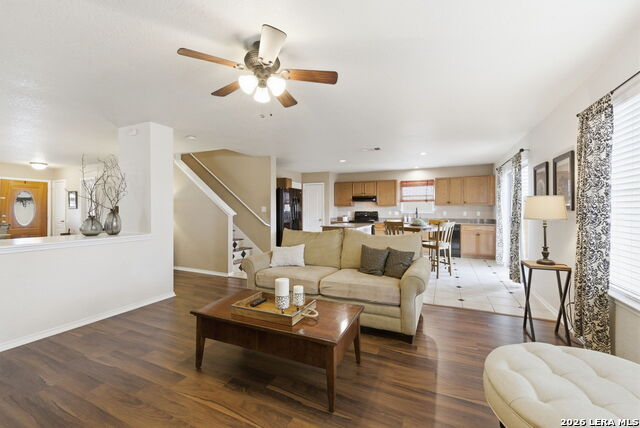 Image 11 of 34 For 2326 Boxer Palm