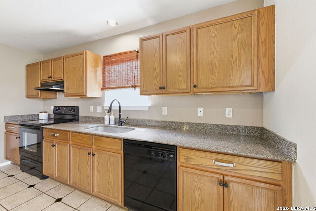 Image 14 of 34 For 2326 Boxer Palm