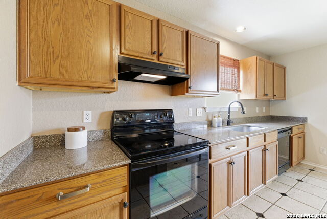 Image 15 of 34 For 2326 Boxer Palm