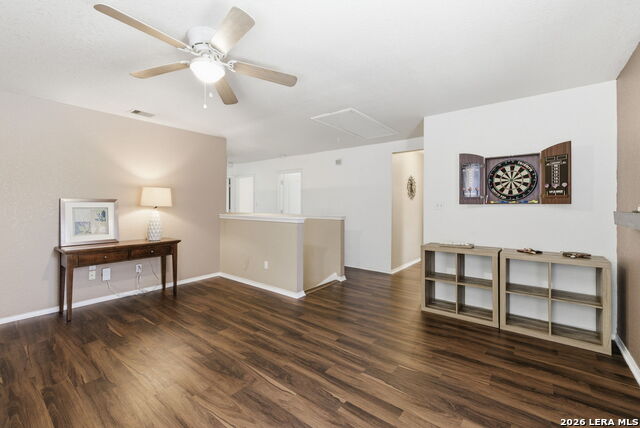 Image 19 of 34 For 2326 Boxer Palm