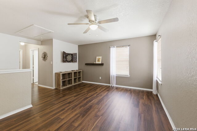 Image 20 of 34 For 2326 Boxer Palm