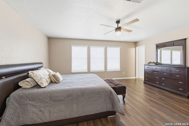 Image 21 of 34 For 2326 Boxer Palm