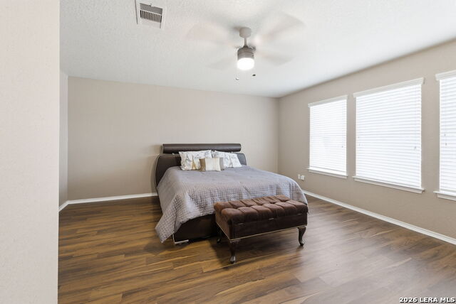 Image 22 of 34 For 2326 Boxer Palm