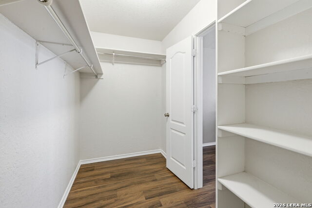 Image 23 of 34 For 2326 Boxer Palm